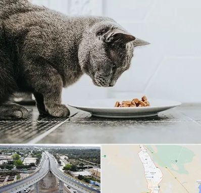 خرید غذای گربه در اندیمشک