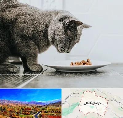 خرید غذای گربه در خراسان شمالی
