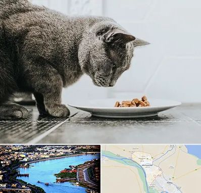 خرید غذای گربه در خرمشهر