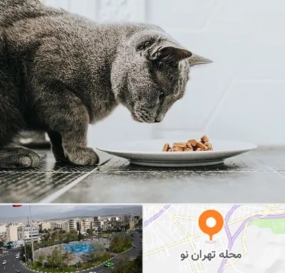 خرید غذای گربه در تهران نو