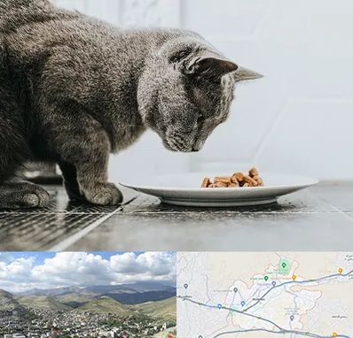 خرید غذای گربه در رودهن