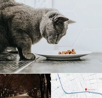 خرید غذای گربه در ابوریحان تبریز