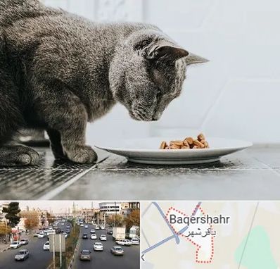 خرید غذای گربه در باقرشهر