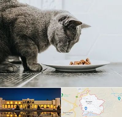 خرید غذای گربه در برازجان