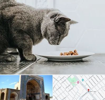 خرید غذای گربه در مصلی مشهد