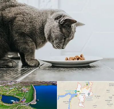 خرید غذای گربه در مهاباد