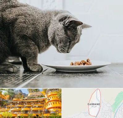 خرید غذای گربه در دربند