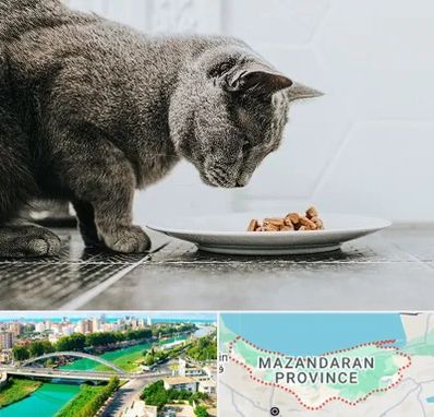 خرید غذای گربه در مازندران