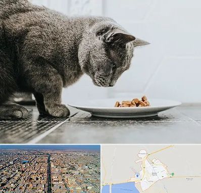 خرید غذای گربه در بندر ماهشهر