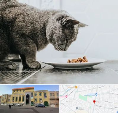خرید غذای گربه در زنبیل آباد قم