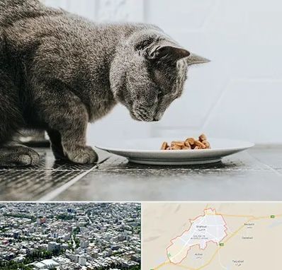 خرید غذای گربه در شاهرود