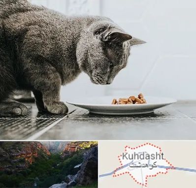 خرید غذای گربه در کوهدشت