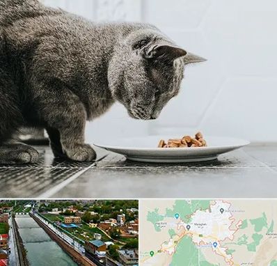 خرید غذای گربه در مراغه