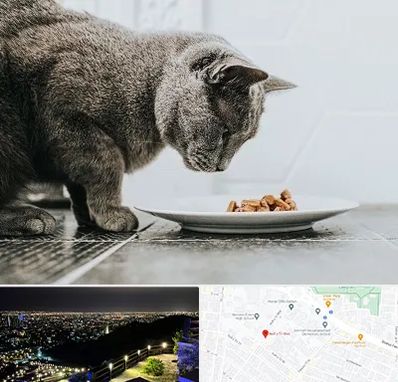 خرید غذای گربه در هفت تیر مشهد