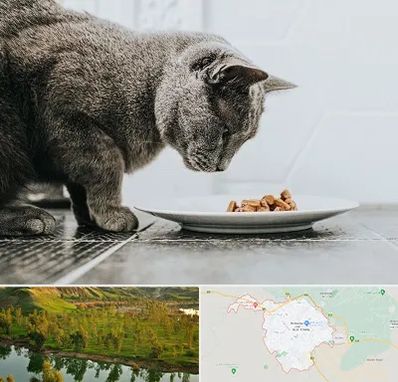 خرید غذای گربه در بهبهان