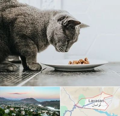 خرید غذای گربه در لواسان