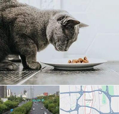 خرید غذای گربه در توانیر