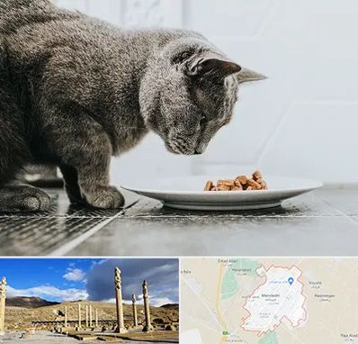 خرید غذای گربه در مرودشت