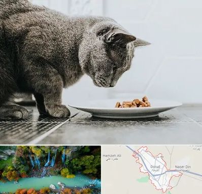 خرید غذای گربه در دورود