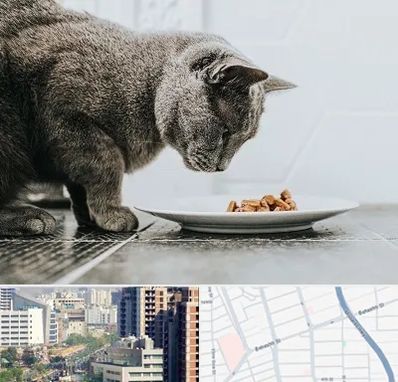 خرید غذای گربه در خیابان بهشتی