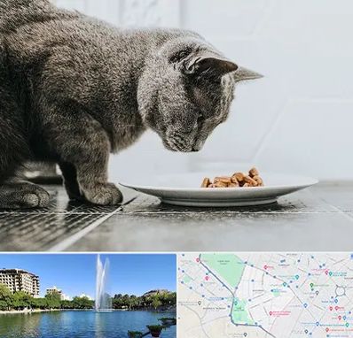 خرید غذای گربه در کوهسنگی مشهد