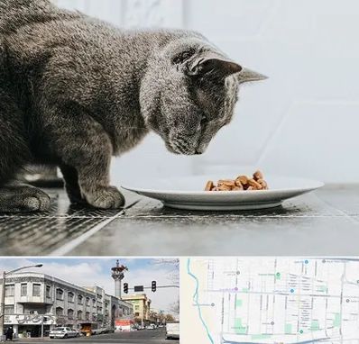 خرید غذای گربه در 17شهریور