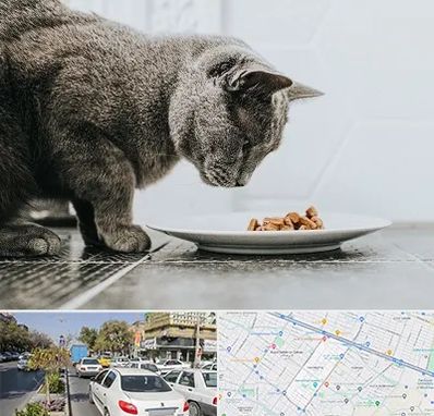 خرید غذای گربه در مفتح مشهد