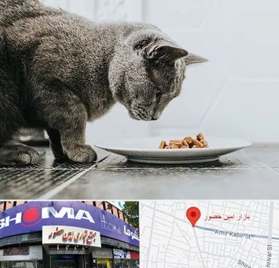 خرید غذای گربه در امین حضور