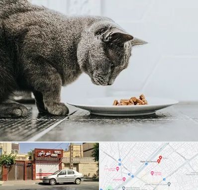 خرید غذای گربه در باجک قم
