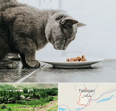 خرید غذای گربه در طالقان