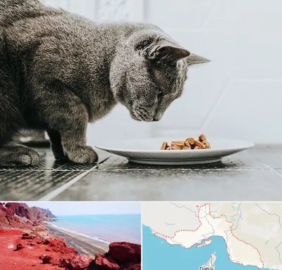 خرید غذای گربه در هرمزگان