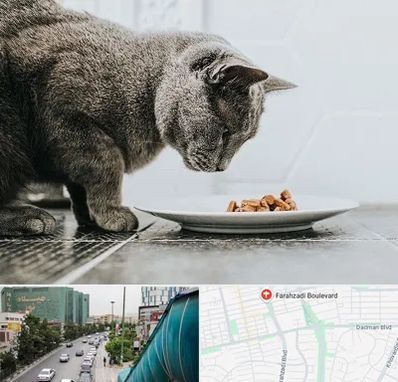 خرید غذای گربه در بلوار فرحزادی