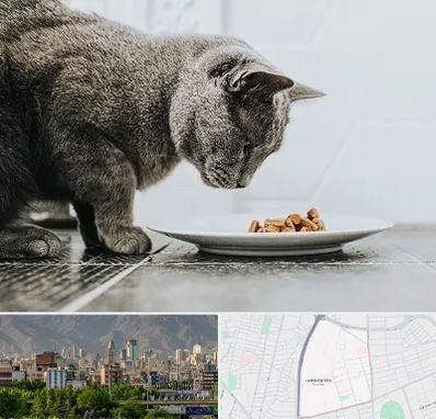 خرید غذای گربه در جمشیدیه