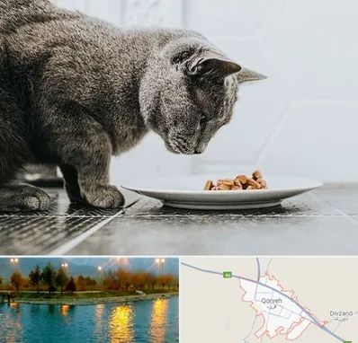 خرید غذای گربه در قروه