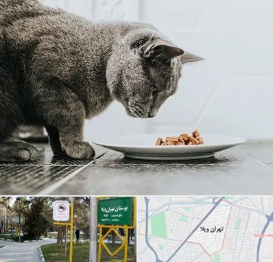 خرید غذای گربه در تهران ویلا