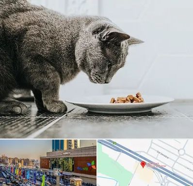 خرید غذای گربه در لاله پارک تبریز