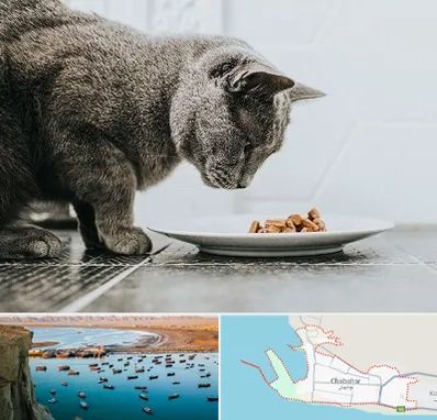 خرید غذای گربه در چابهار