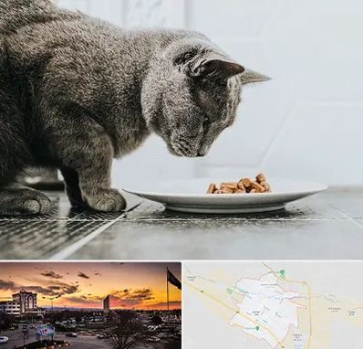 خرید غذای گربه در قوچان