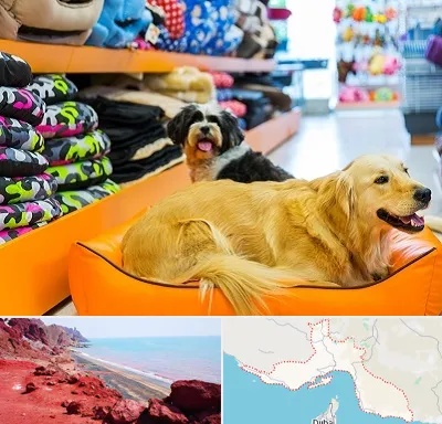 پت شاپ عمده در هرمزگان