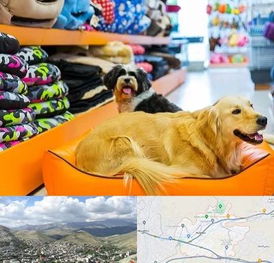 پت شاپ عمده در رودهن