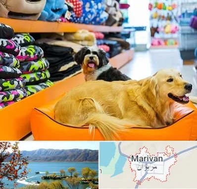 پت شاپ عمده در مریوان