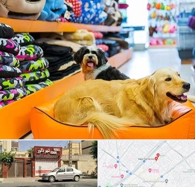 پت شاپ عمده در باجک قم