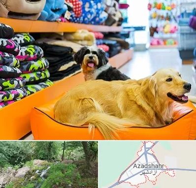 پت شاپ عمده در آزادشهر