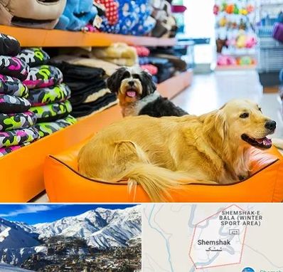 پت شاپ عمده در شمشک