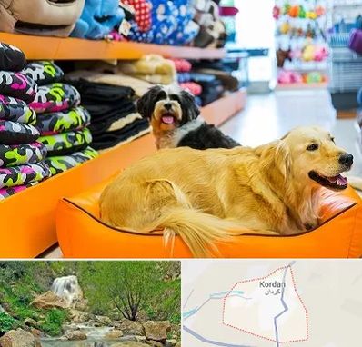 پت شاپ عمده در کردان