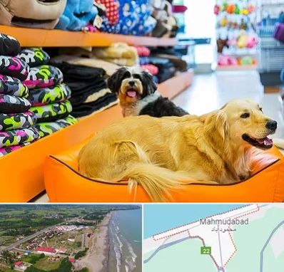 پت شاپ عمده در محمودآباد