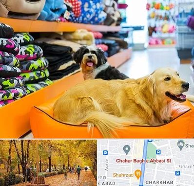 پت شاپ عمده در چهارباغ اصفهان