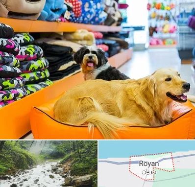 پت شاپ عمده در رویان