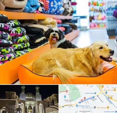 پت شاپ عمده در زرگری شیراز