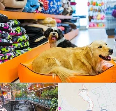 پت شاپ عمده در درکه